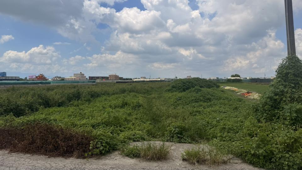 園藝維護案件圖片