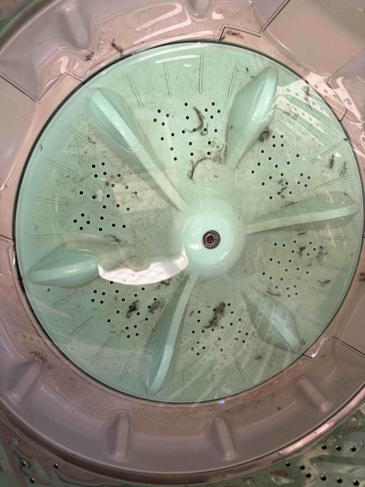 洗衣機清洗案件圖片
