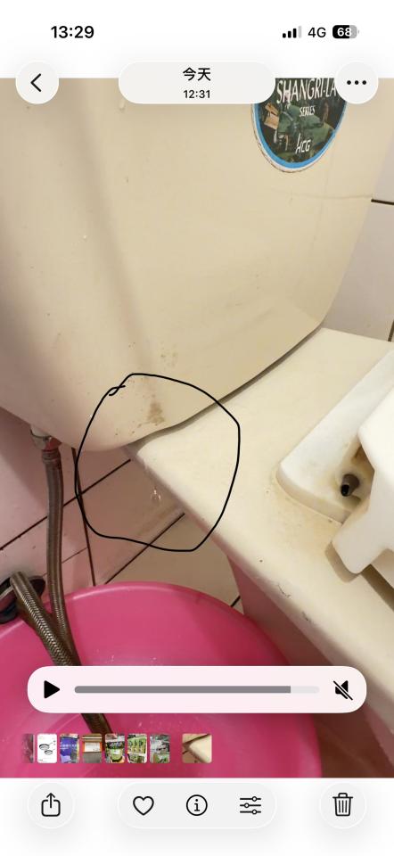 馬桶裝修案件圖片