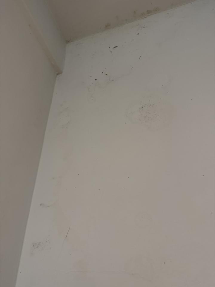 抓漏案件圖片