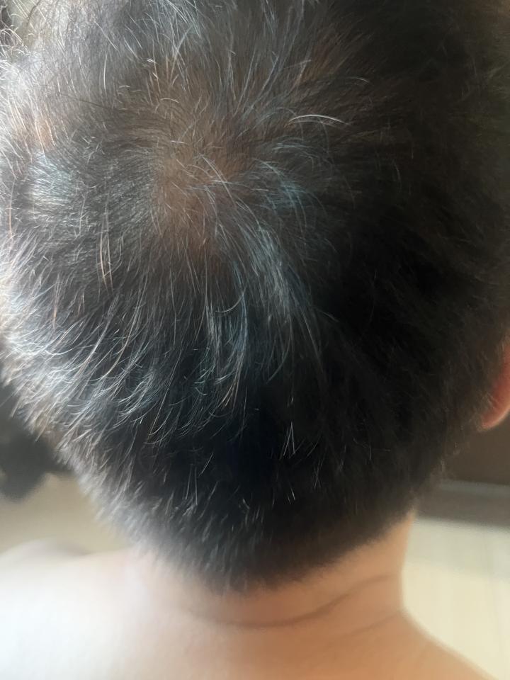 紋繡案件圖片