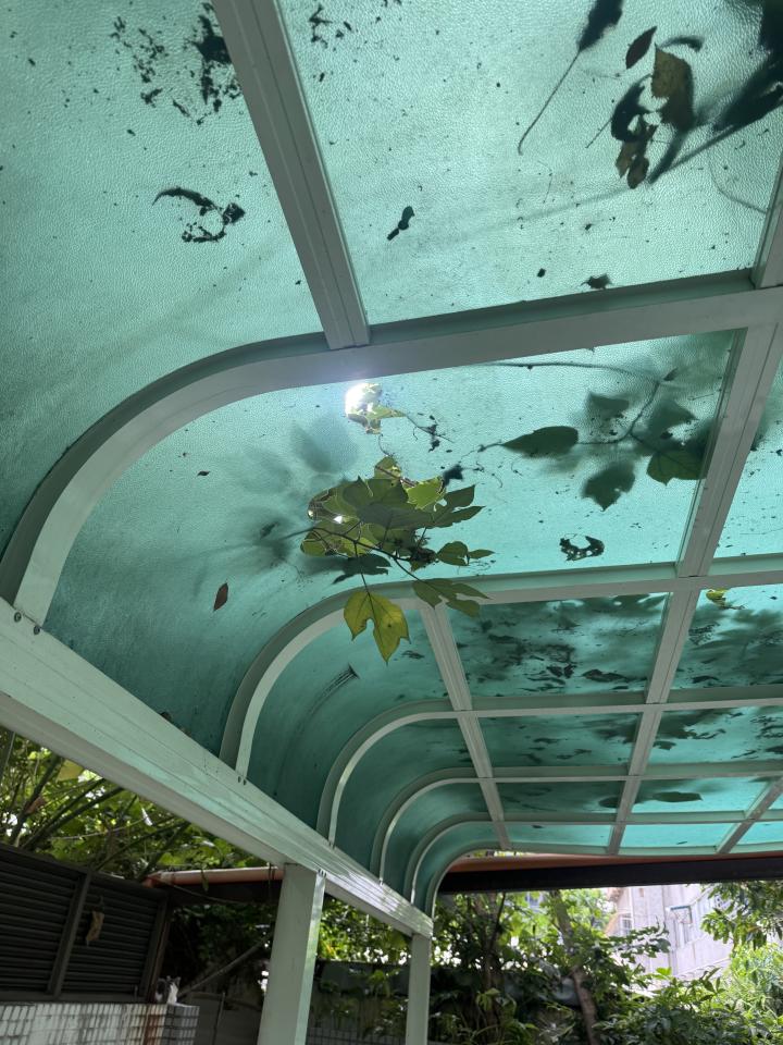 採光罩案件圖片