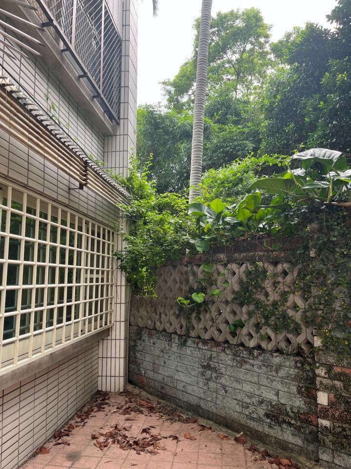 園藝維護案件圖片