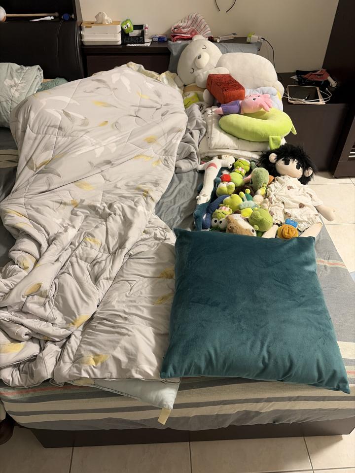 大型垃圾回收案件圖片