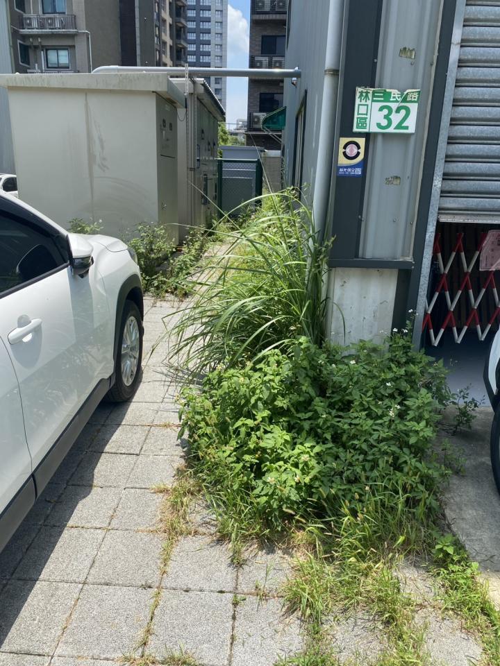 園藝維護案件圖片
