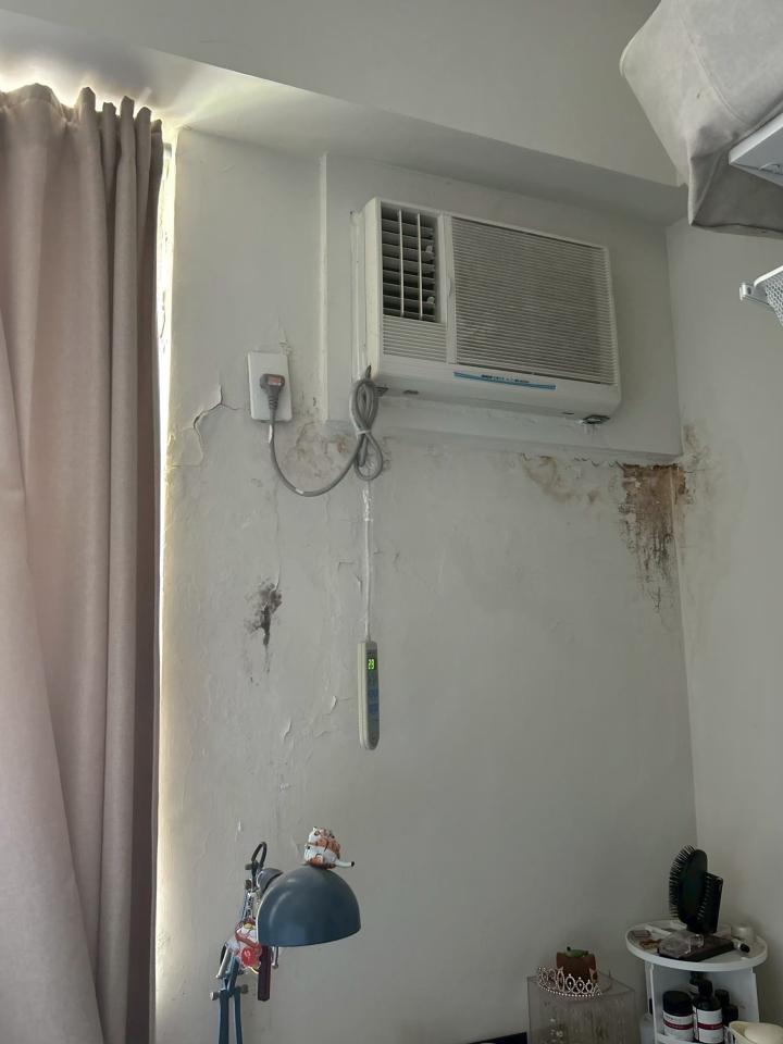 壁癌處理案件圖片
