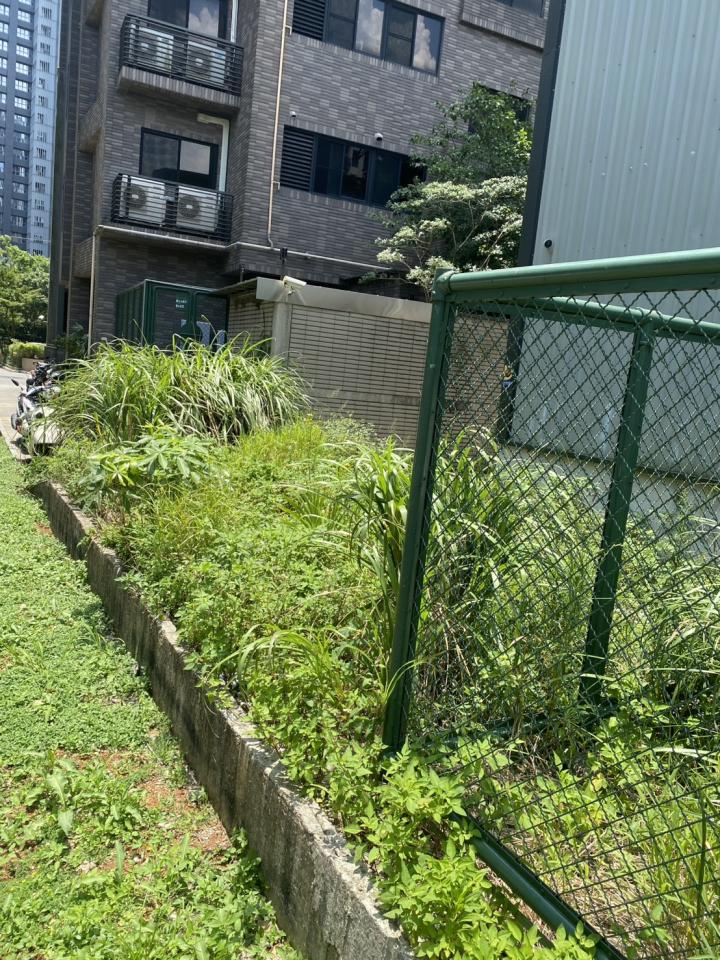 園藝維護案件圖片
