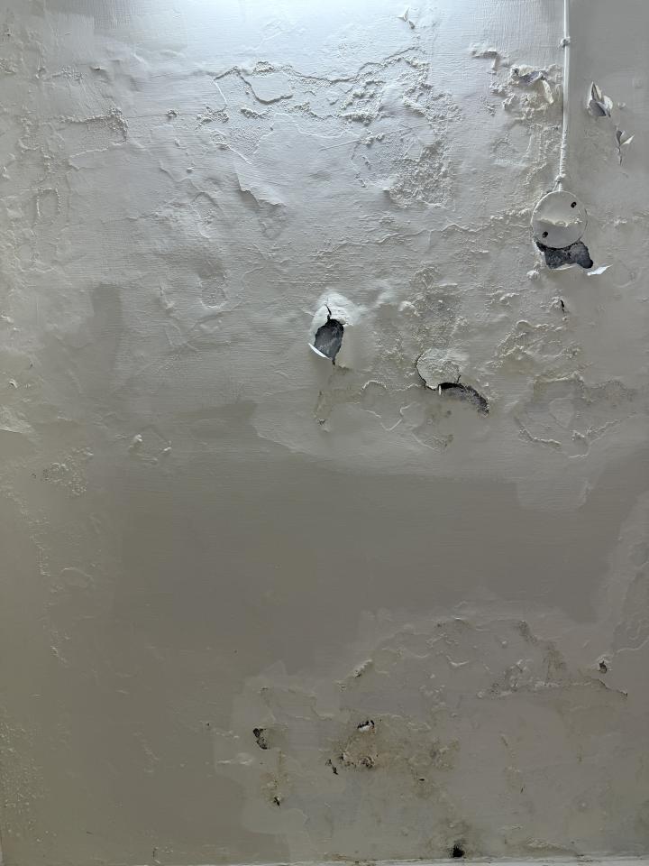 壁癌處理案件圖片