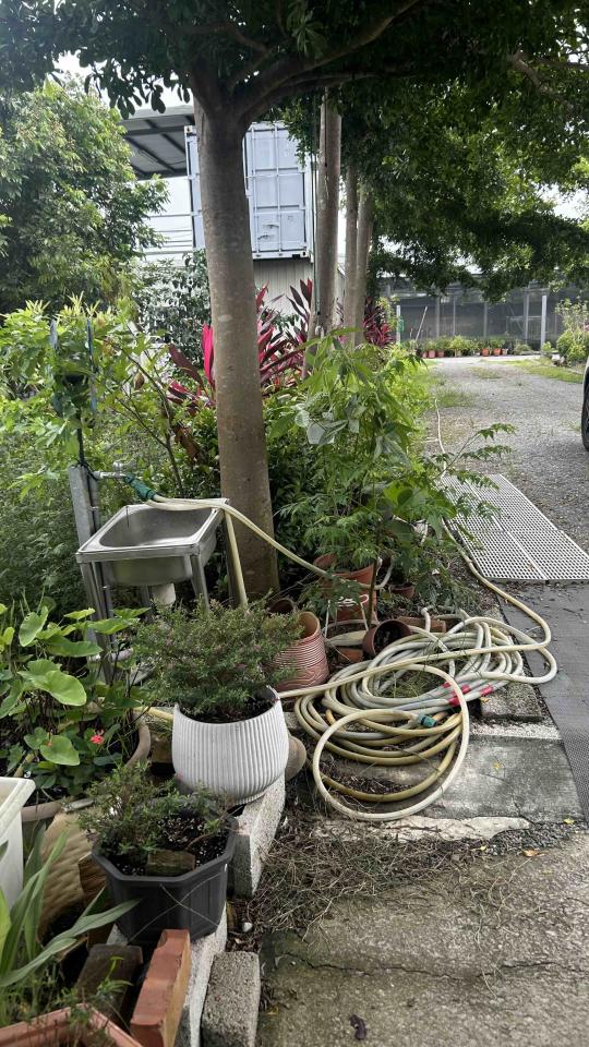 園藝維護案件圖片