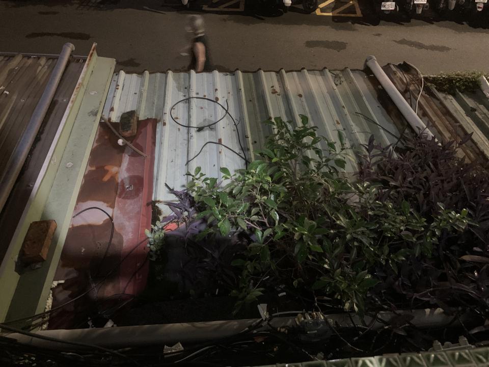 園藝維護案件圖片