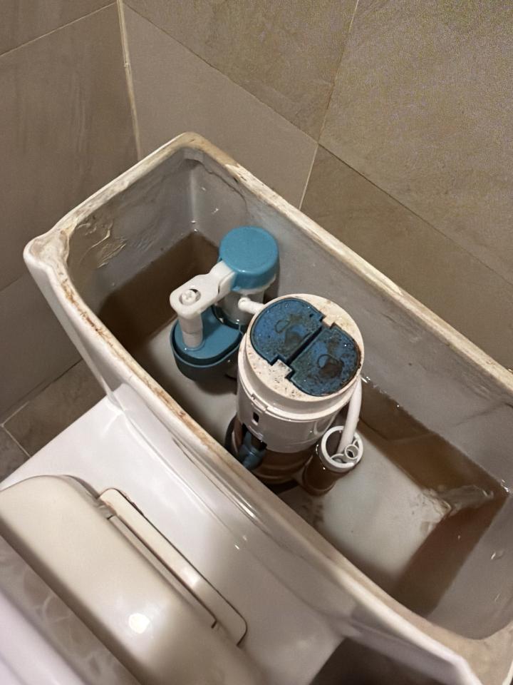 馬桶裝修案件圖片