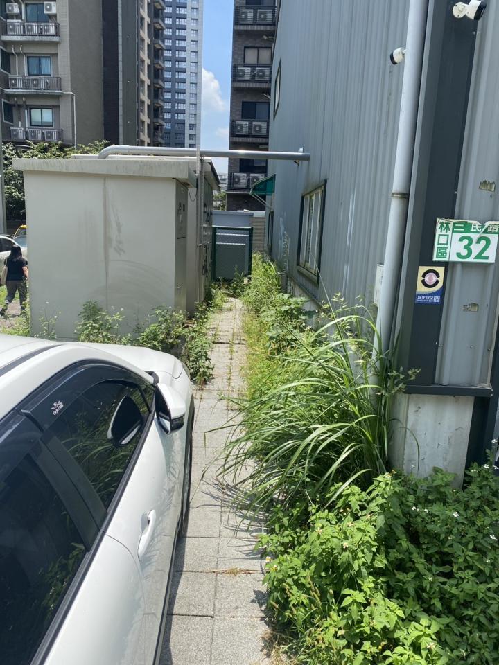 園藝維護案件圖片