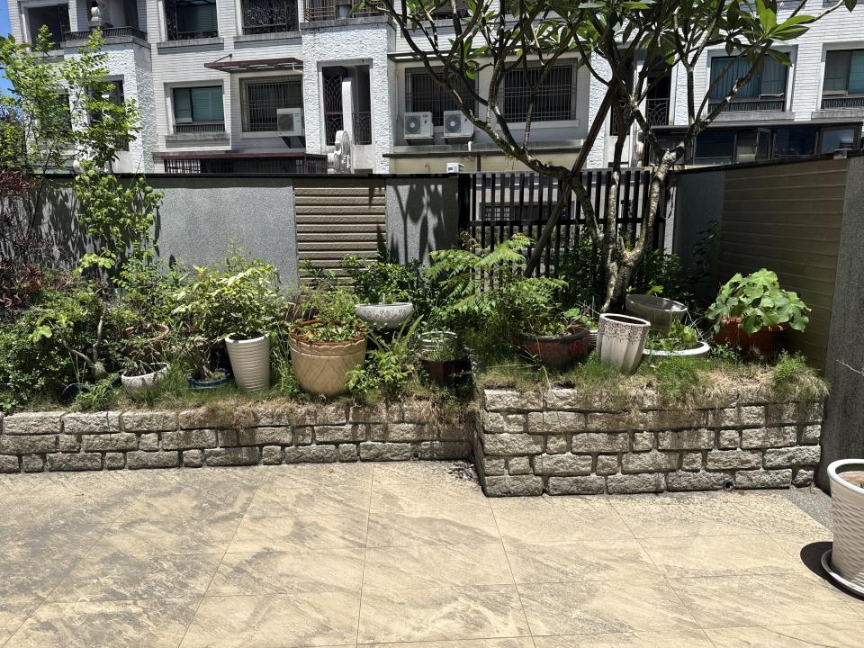 園藝維護案件圖片