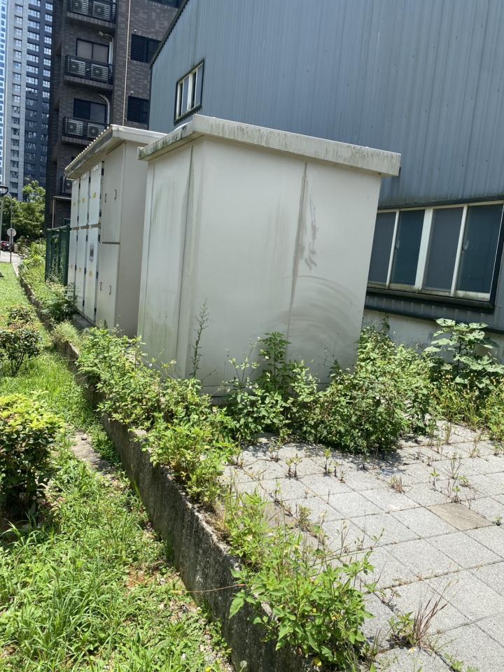 園藝維護案件圖片