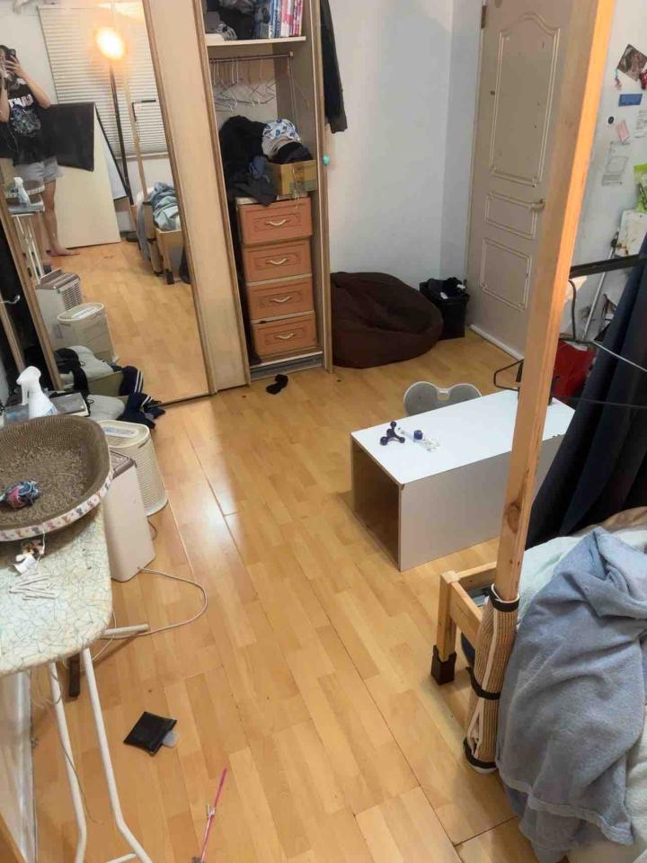 地板施工案件圖片