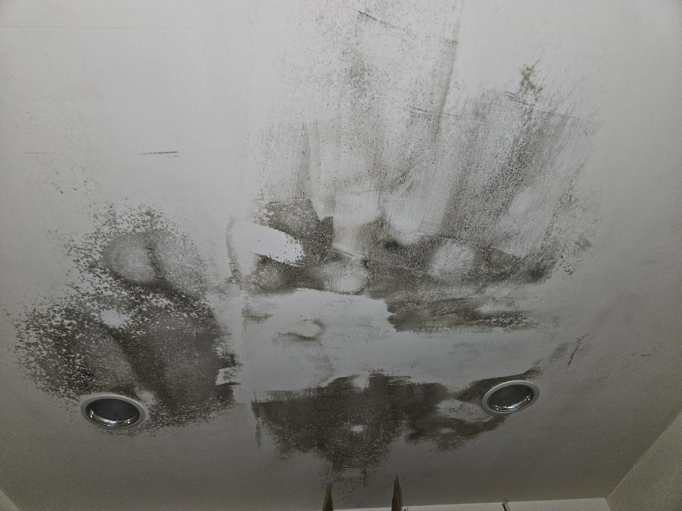 除霉案件圖片