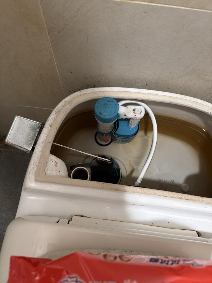 馬桶裝修案件圖片