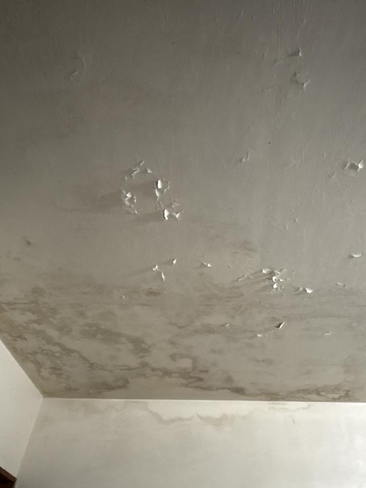 油漆工程案件圖片
