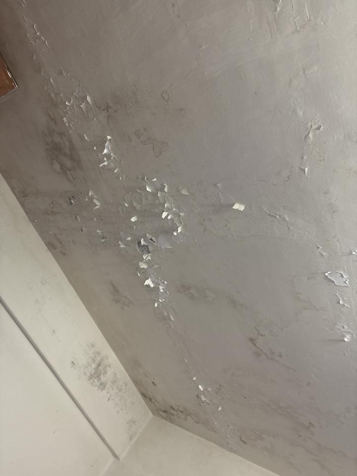 油漆工程案件圖片