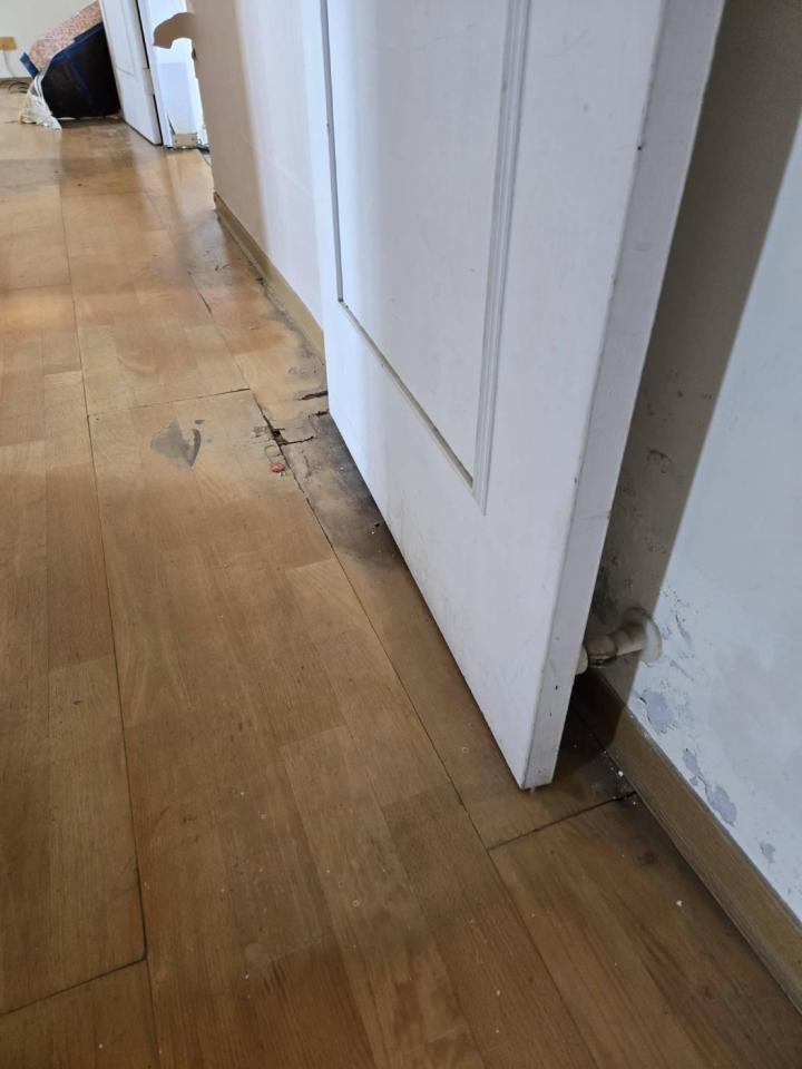 地板施工案件圖片