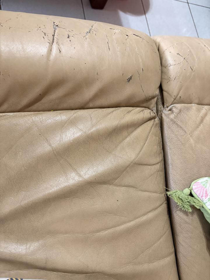 沙發修理案件圖片