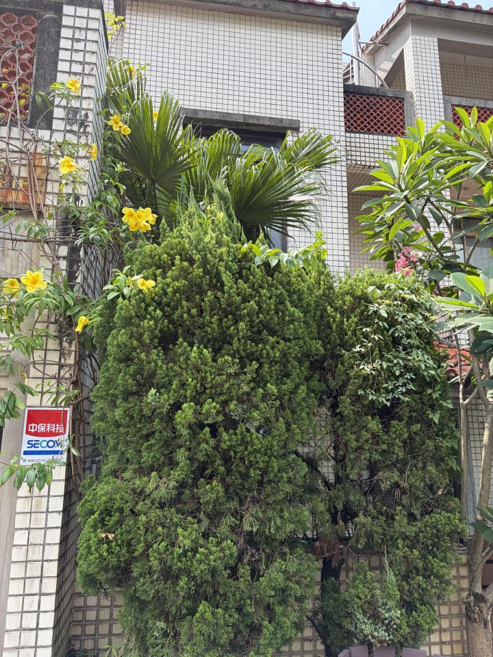 園藝維護案件圖片