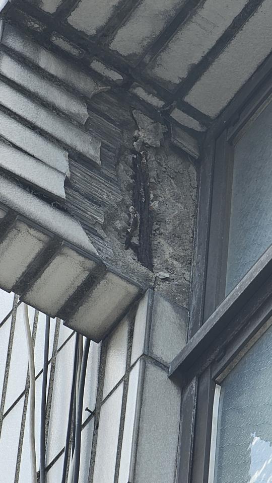 鋼筋外露處理案件圖片