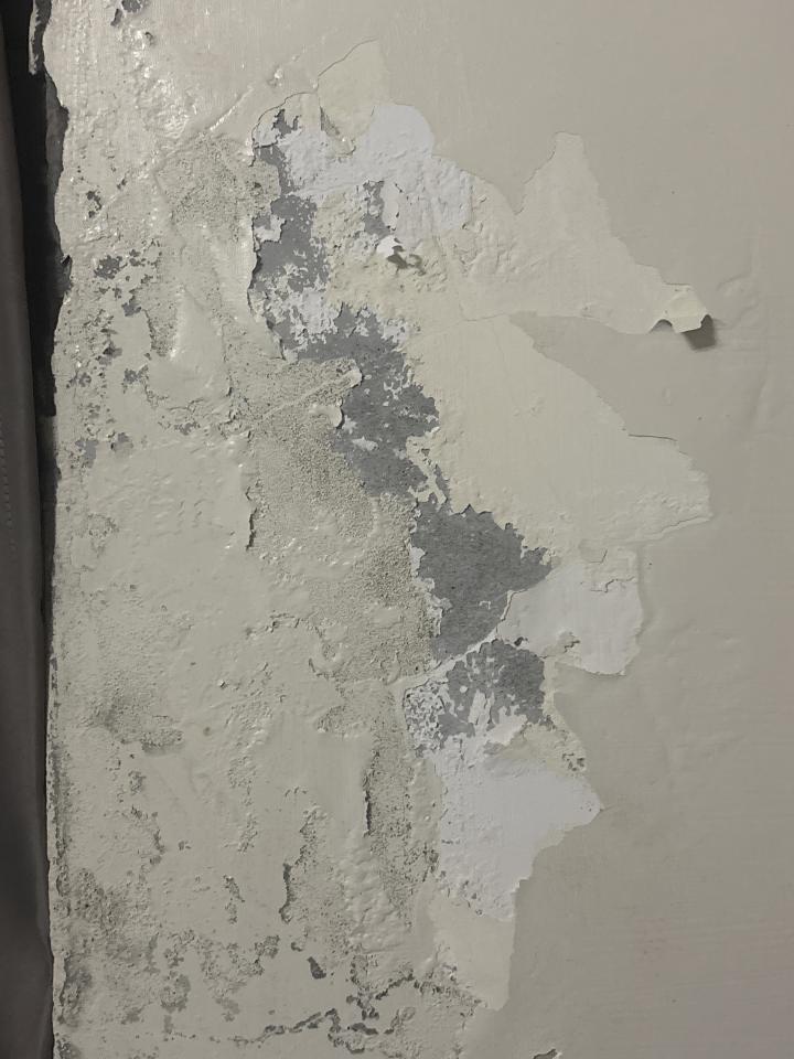 油漆工程案件圖片