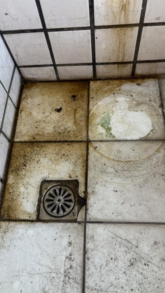 抓漏案件圖片