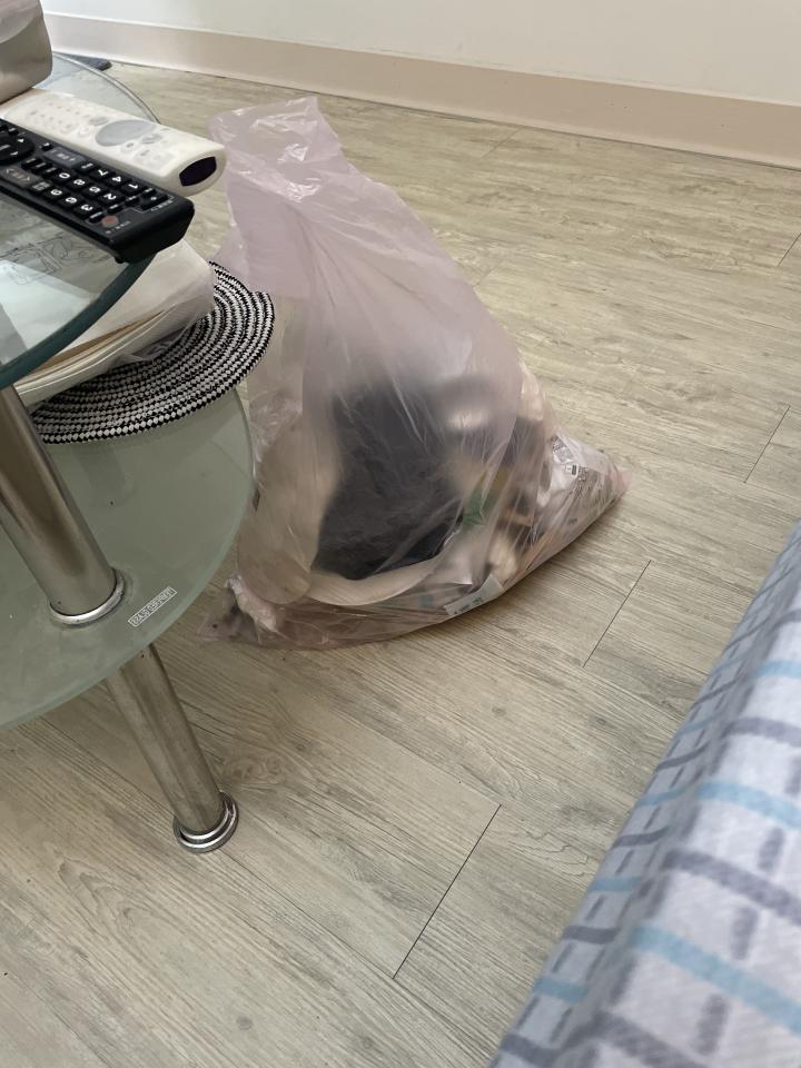 代收垃圾案件圖片