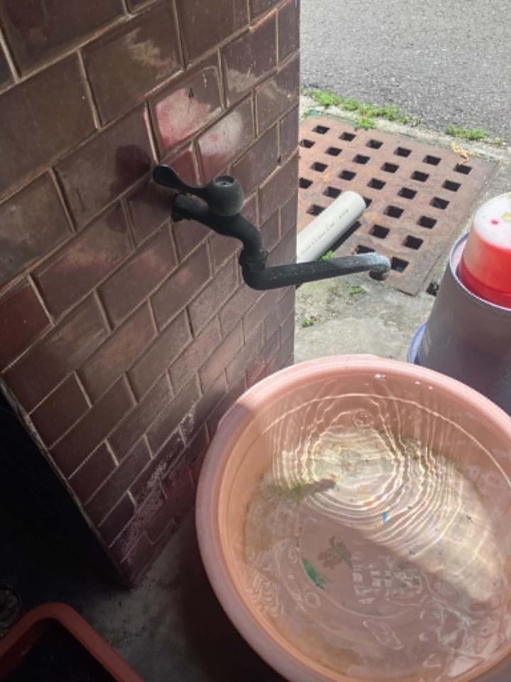 水龍頭裝修案件圖片