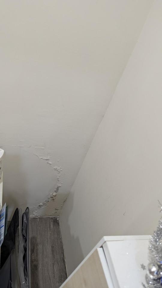 油漆工程案件圖片