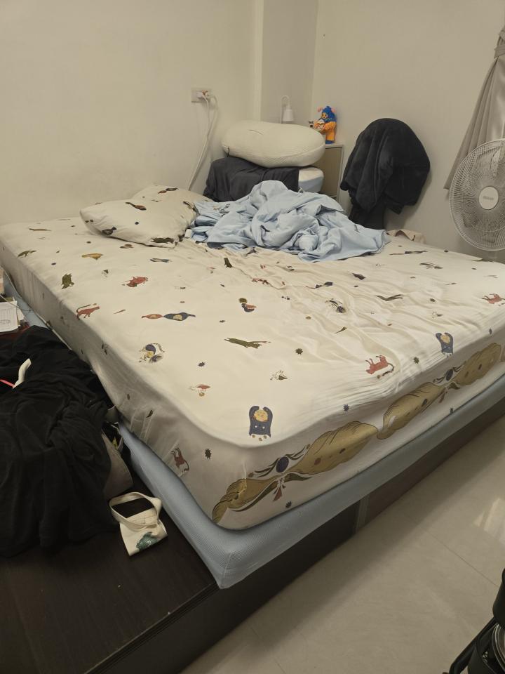 大型垃圾回收案件圖片
