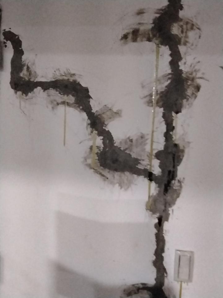 泥作/水泥施工案件圖片