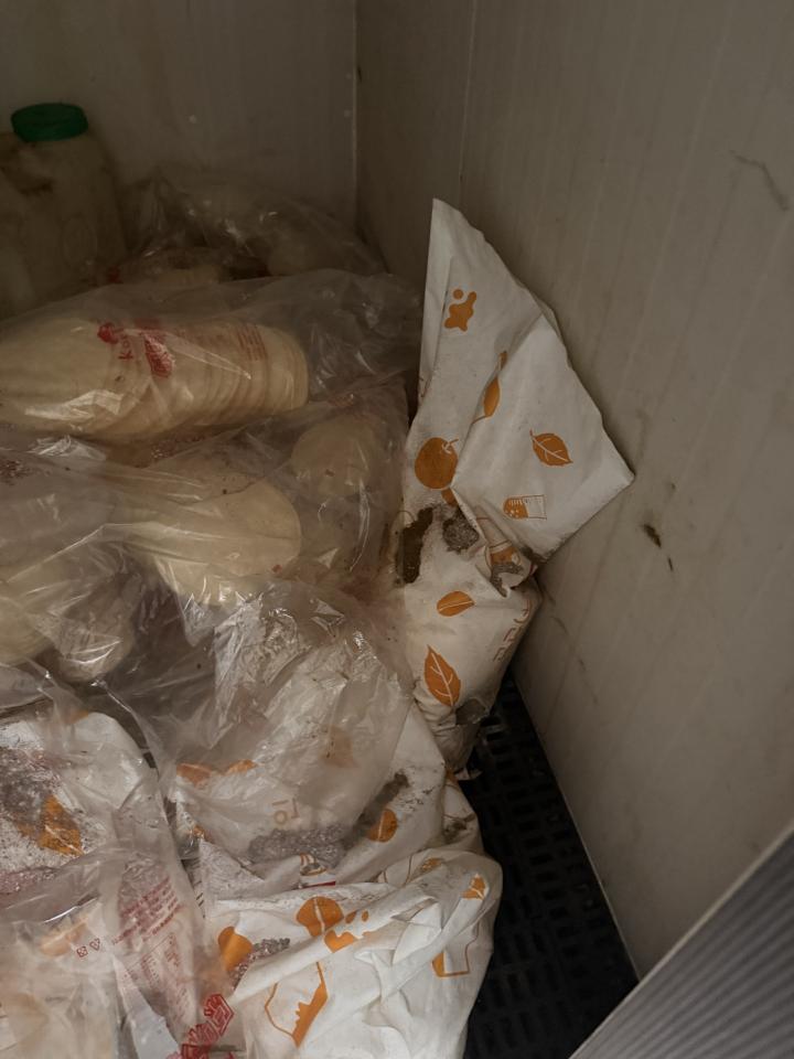 大型垃圾回收案件圖片