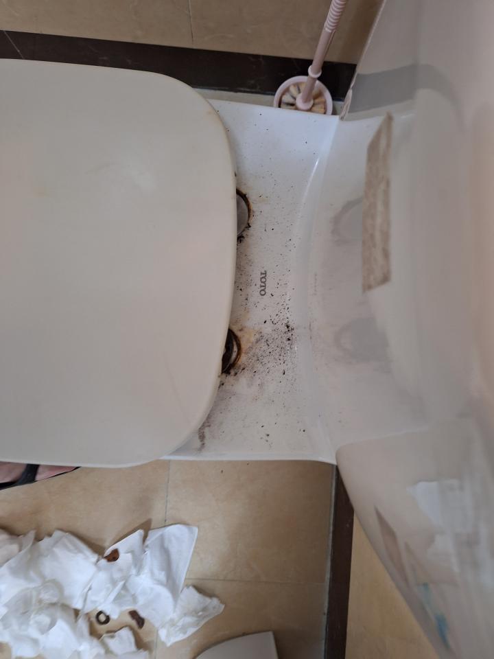 馬桶裝修案件圖片