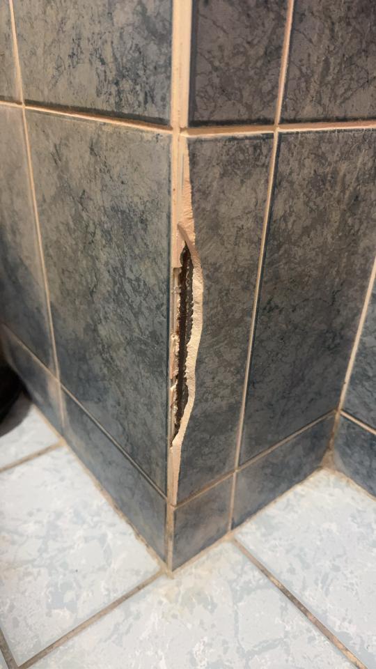 磁磚修補案件圖片
