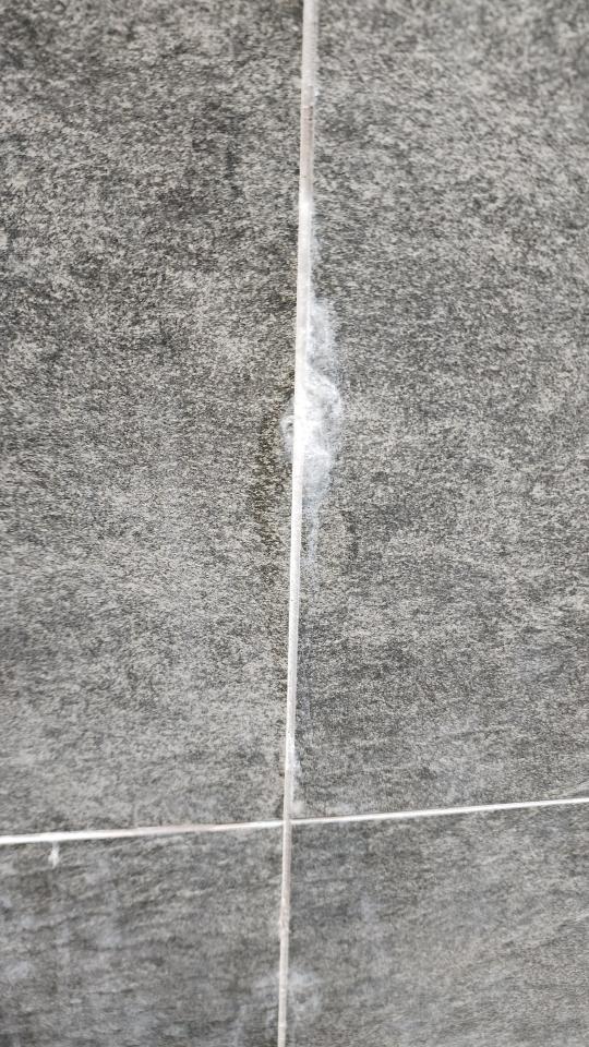 抓漏案件圖片