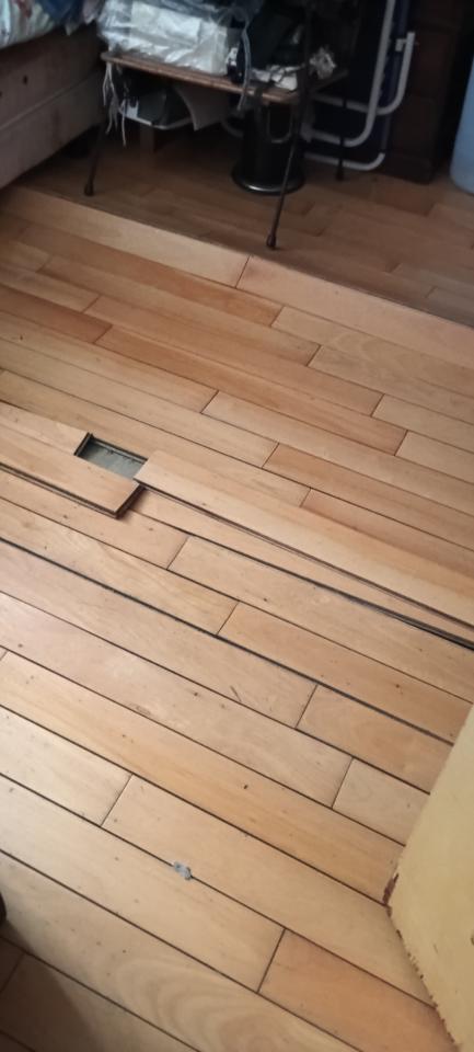 室內裝潢案件圖片