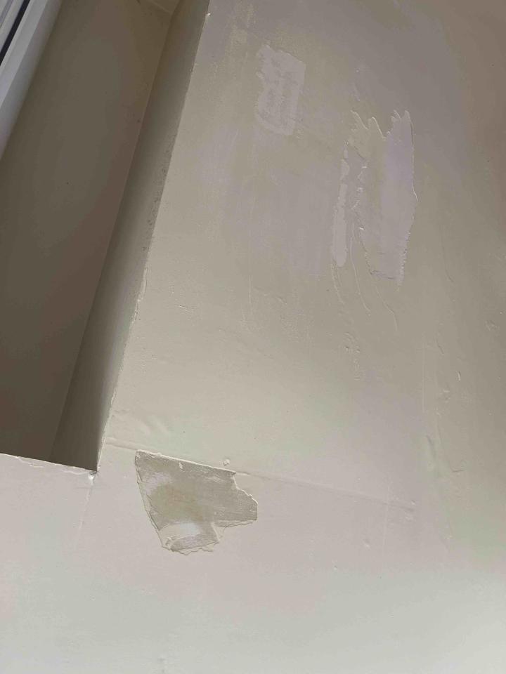 油漆工程案件圖片