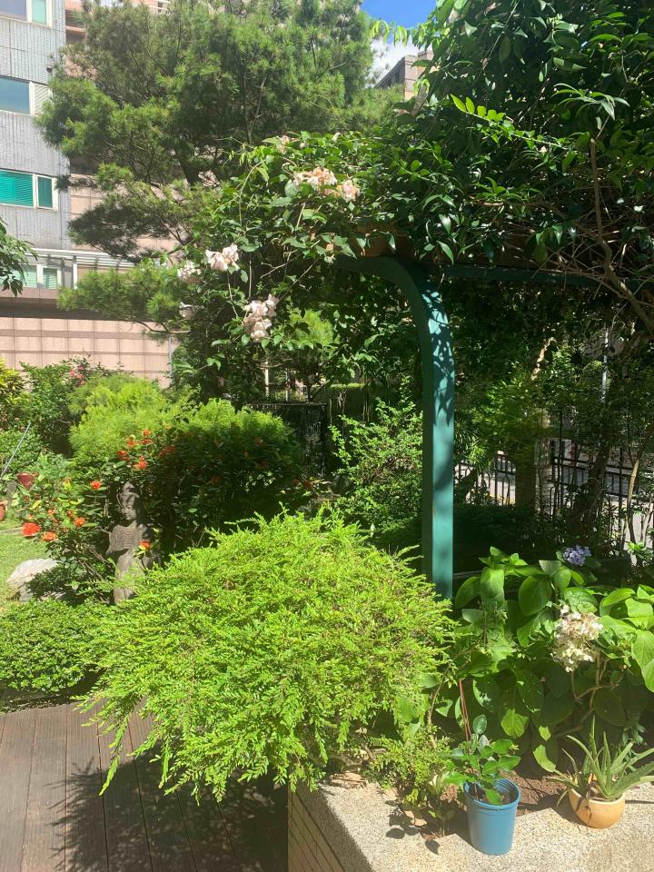 園藝維護案件圖片