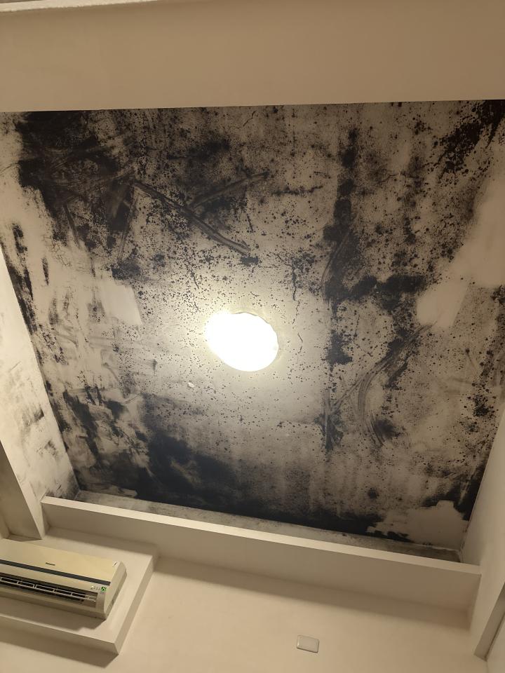 除霉案件圖片