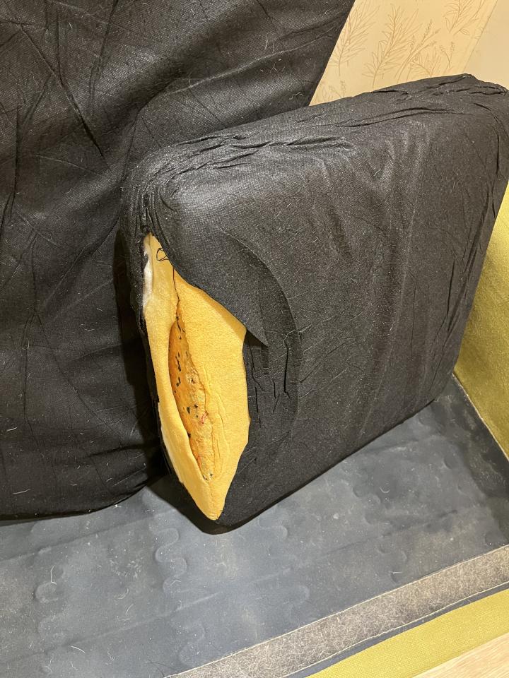 沙發清潔案件圖片