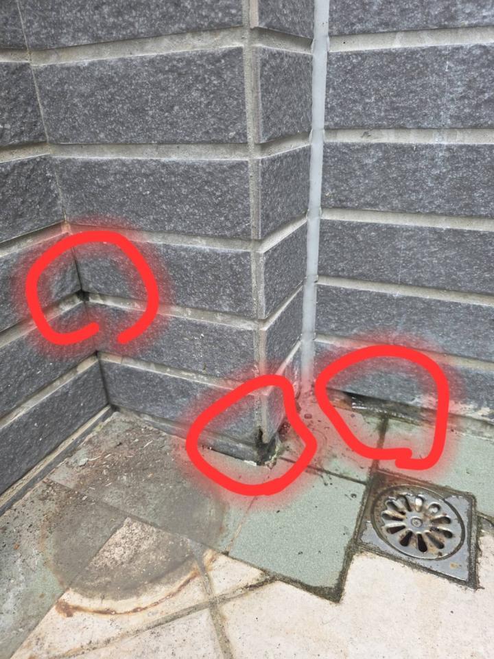抓漏案件圖片