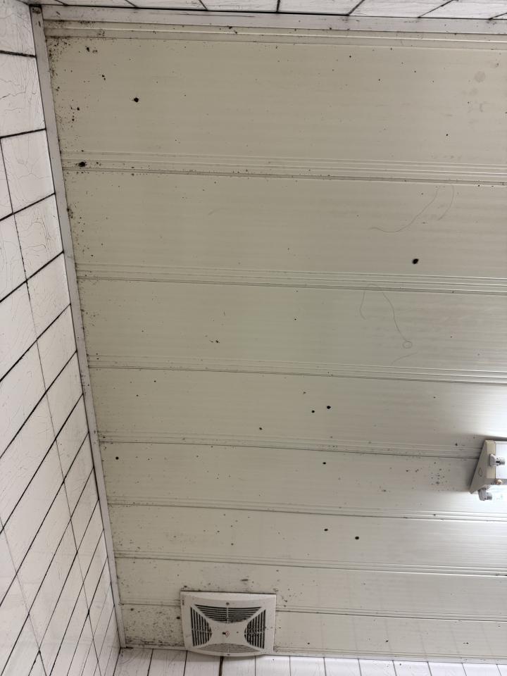 浴室除霉清潔案件圖片