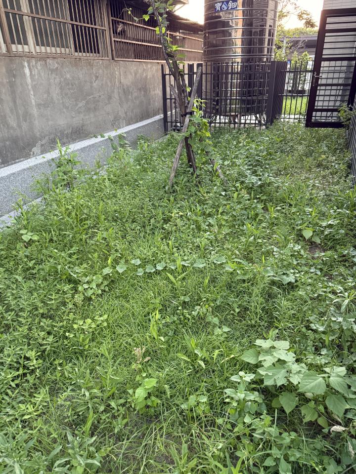 園藝設計案件圖片