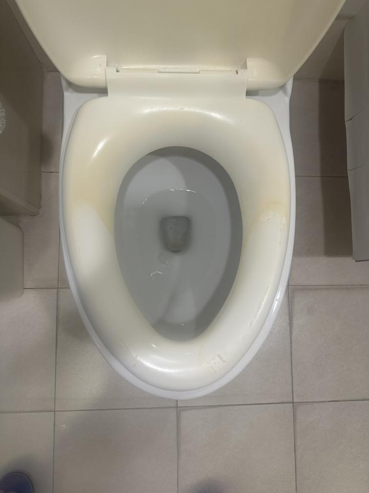 馬桶裝修案件圖片