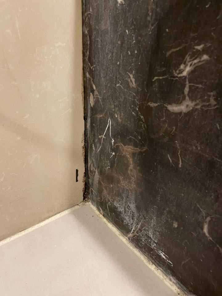 矽利康工程案件圖片