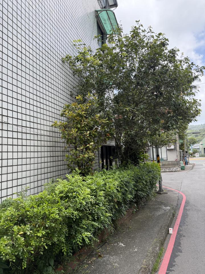 園藝維護案件圖片