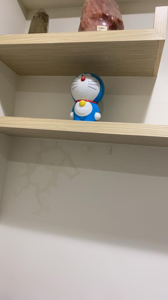 抓漏案件圖片